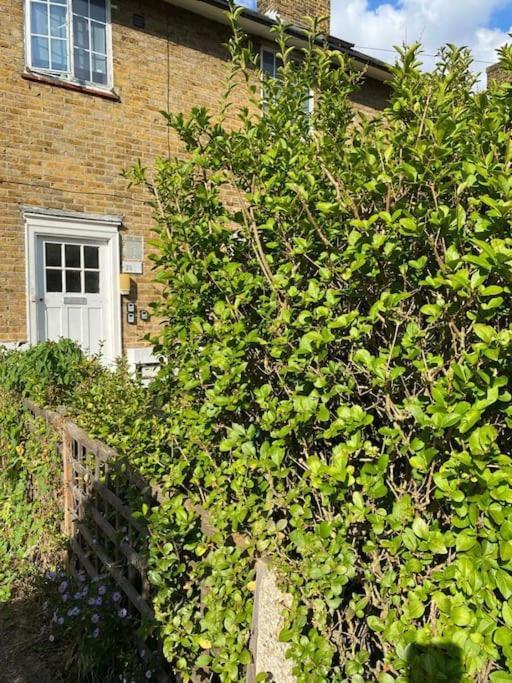 One Bedroom Putney Village Flat London Exterior photo